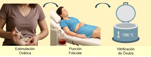 Congelacion de óvulos: los 40 no son los nuevos 30 1