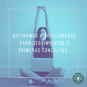 segrelles ivf videollamadas