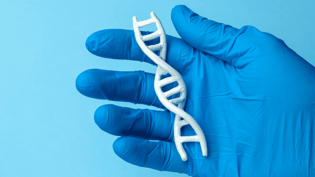 Test fragmentación ADN espermático y la técnica MACS 1
