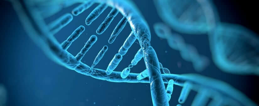 Lee más sobre el artículo Test fragmentación ADN espermático y la técnica MACS