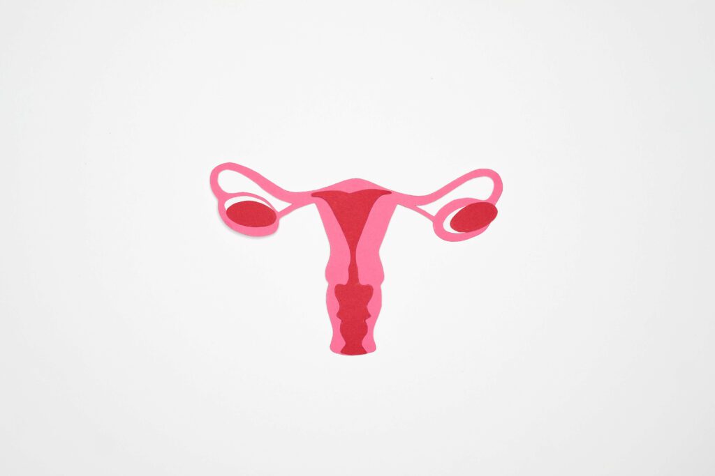¿Qué son los miomas uterinos? 2