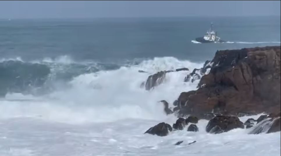 Vitrificación de ovocitos en España: Guía Completa para la Preservación de la Fertilidad 2