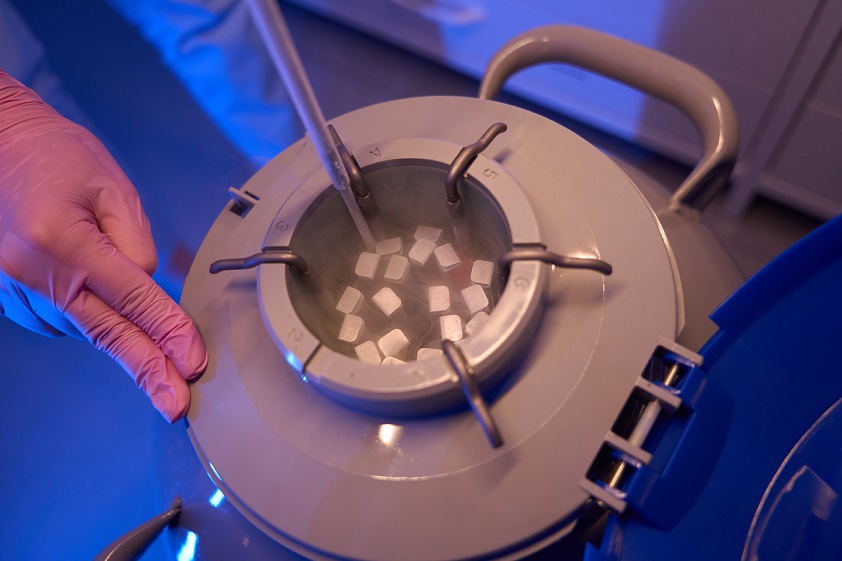 Aumentan las pacientes que preservan su fertilidad movidas por motivos sociales 1