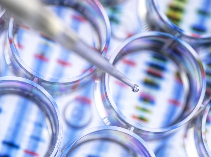 Test fragmentación ADN espermático y la técnica MACS 1