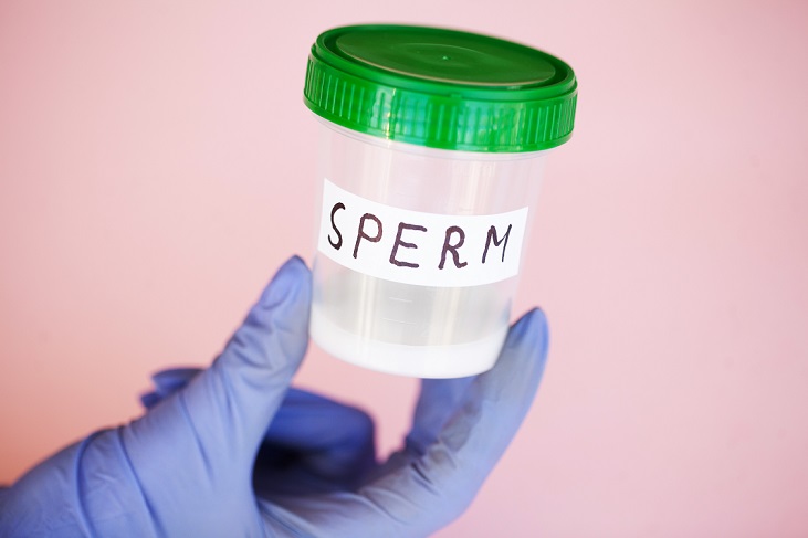 Diferencias entre una inseminación artificial casera y un tratamiento de inseminación artificial 1