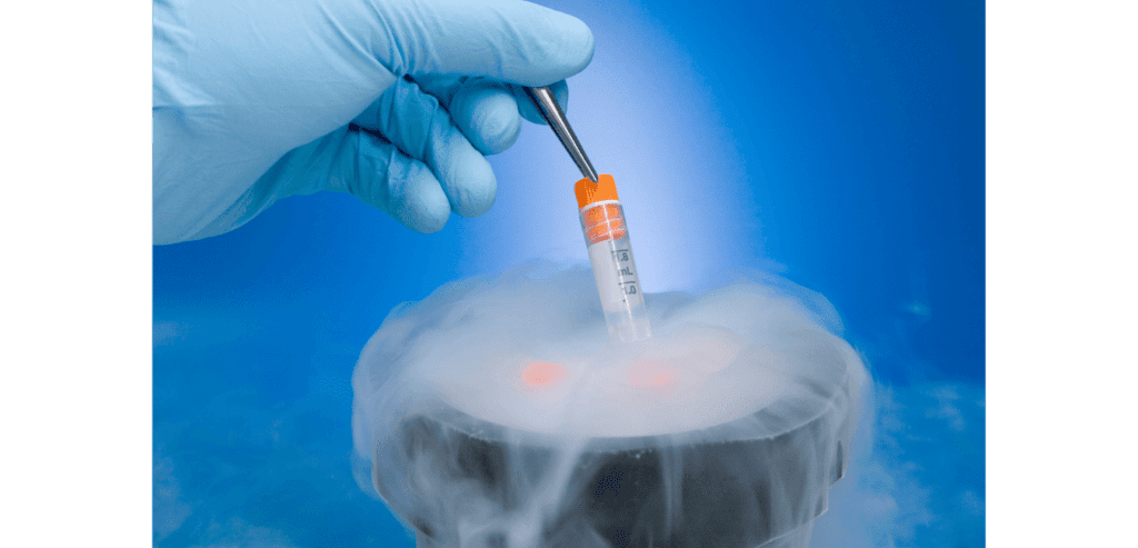 vitrificacion de embriones
