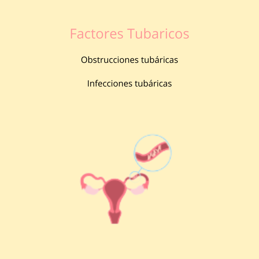 ¿Qué es la Infertilidad Primaria? 3 ¿Qué es la Infertilidad Primaria? 3